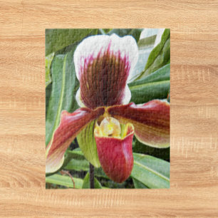 Puzzle Flore de l'orchidée rouge Lady Slipper
