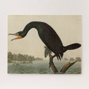 Puzzle Florida Cormorant de Audubon's Birds of America