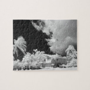 Puzzle Florida Keys maison et ses palmiers, États-Unis.