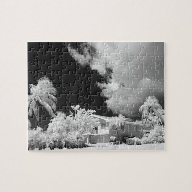 Puzzle Florida Keys maison et ses palmiers, États-Unis. (Horizontal)