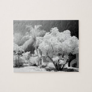 Puzzle Florida Keys maison et ses palmiers, États-Unis.2