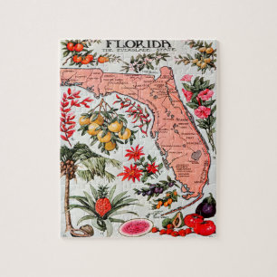 Puzzle Floride - Carte de l'État des Everglade