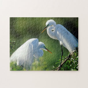 Puzzle Floride, Venise, Sanctuaire Audubon, Aigrette garz