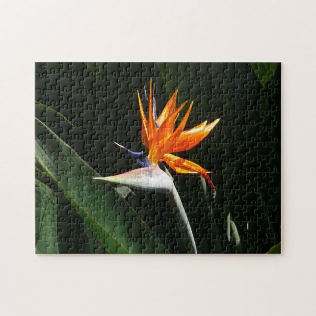 Puzzle Flower tropical orange paradise (Horizontal)