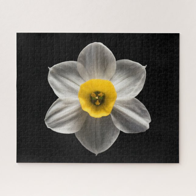 Puzzle Flowers (homonymie) Flower blanc (Horizontal)