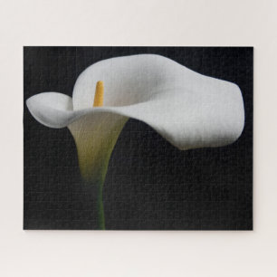 Puzzle Flowers (homonymie) White Calla Lily