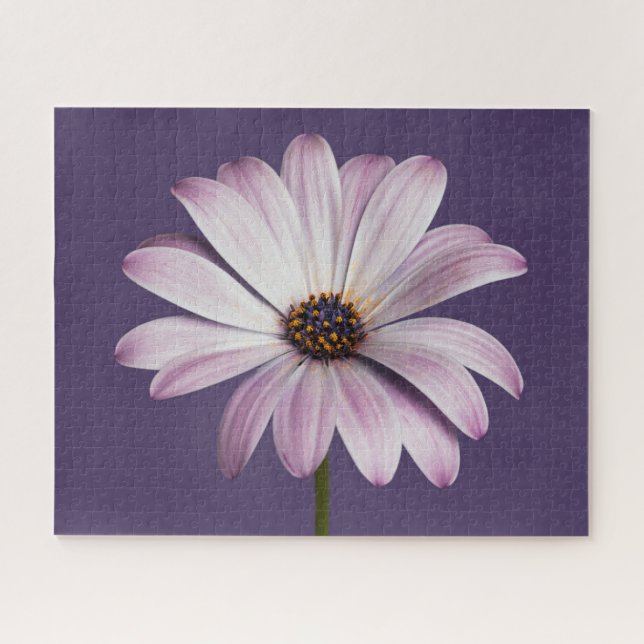 Puzzle Flowers | White & Purple Daisy (Horizontal)