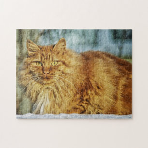 Puzzle Fluffin Orange Tabby Maine Coon Cat