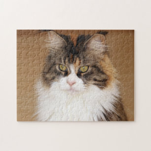 Puzzle Fluffy Maine Coon Cat