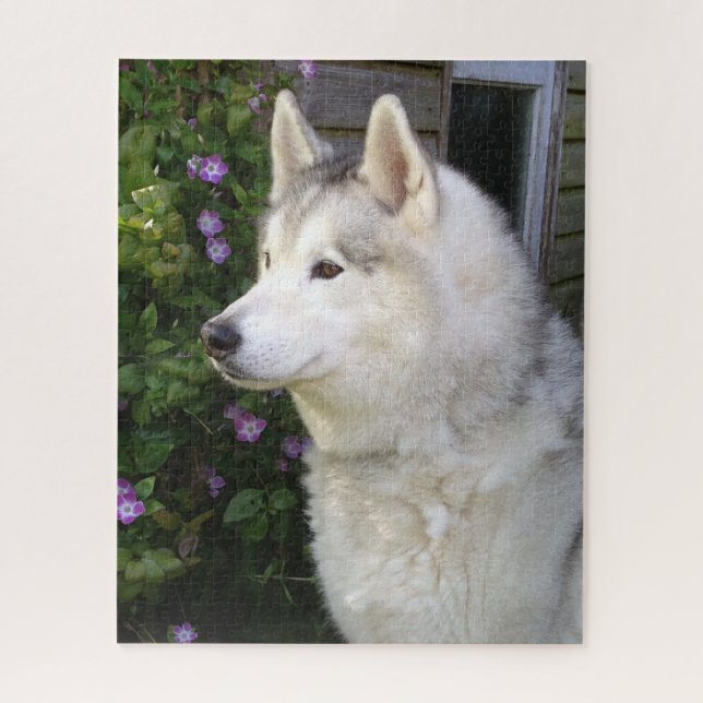 Puzzle Fluffy Siberian Husky Puppy Dog (Vertical)
