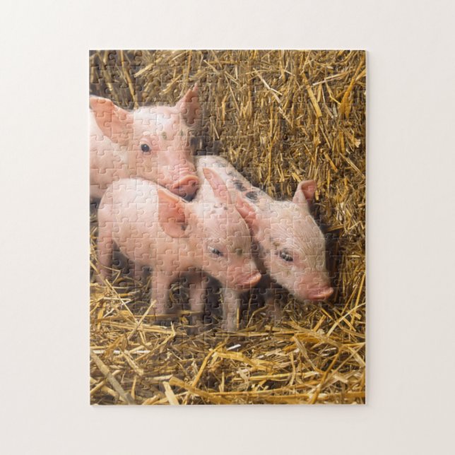 Puzzle Foin de porcelet de porc (Vertical)