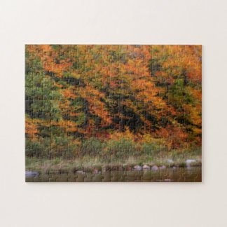 Puzzle Foliage d'automne Bordage