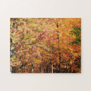Puzzle Foliage d'automne en Nouvelle-Angleterre