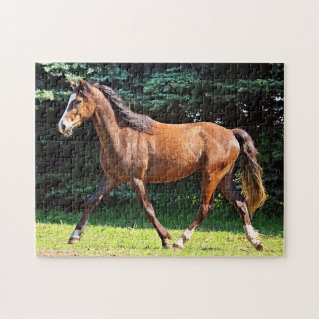 Puzzle Fonctionnement Brown de cheval (Horizontal)
