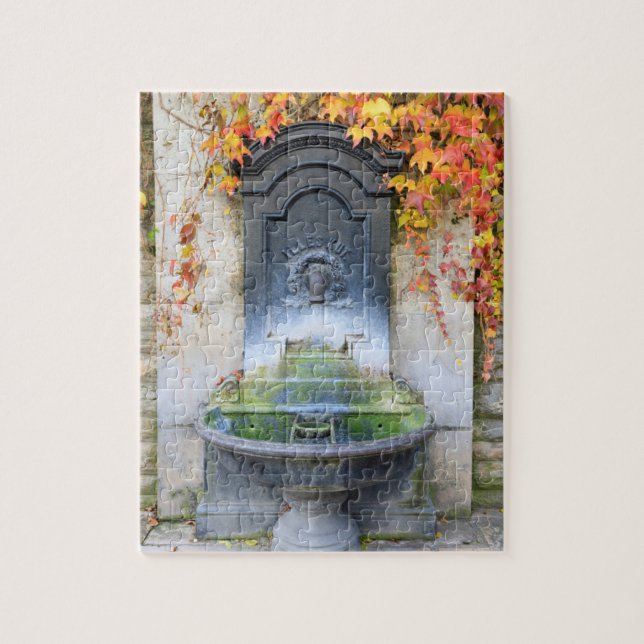 Puzzle Fontaine d'eau potable en automne, Hongrie (Vertical)