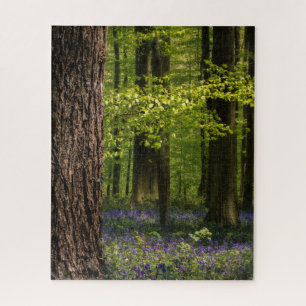 Puzzle Forest Bluebells en Belgique