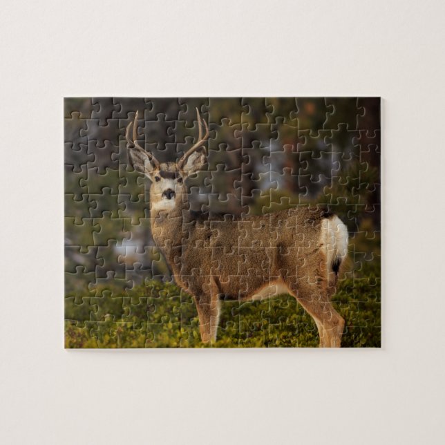 Puzzle Forest Deer Buck (Horizontal)