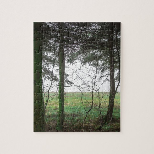 Puzzle Forest overlooking clearing in the fog (Vertical)