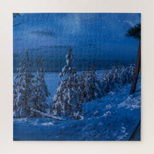 Puzzle Forest path at winter night