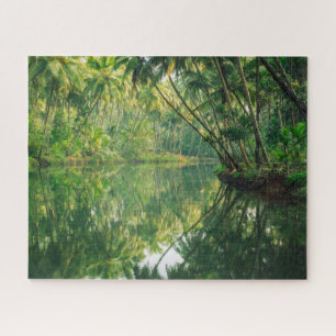 Puzzle Forests   Mangrove Forest