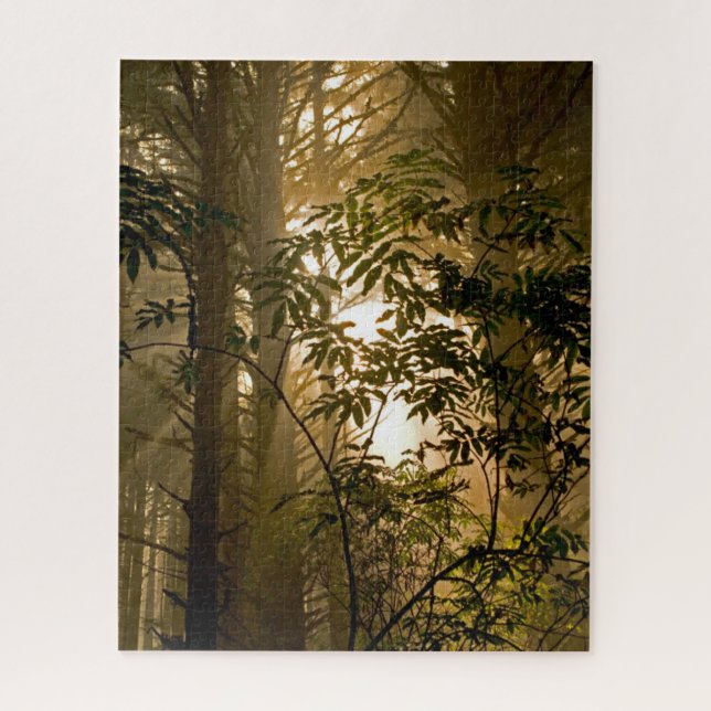 Puzzle Forêt à feuillage persistant | Côte de l'Oregon (Vertical)
