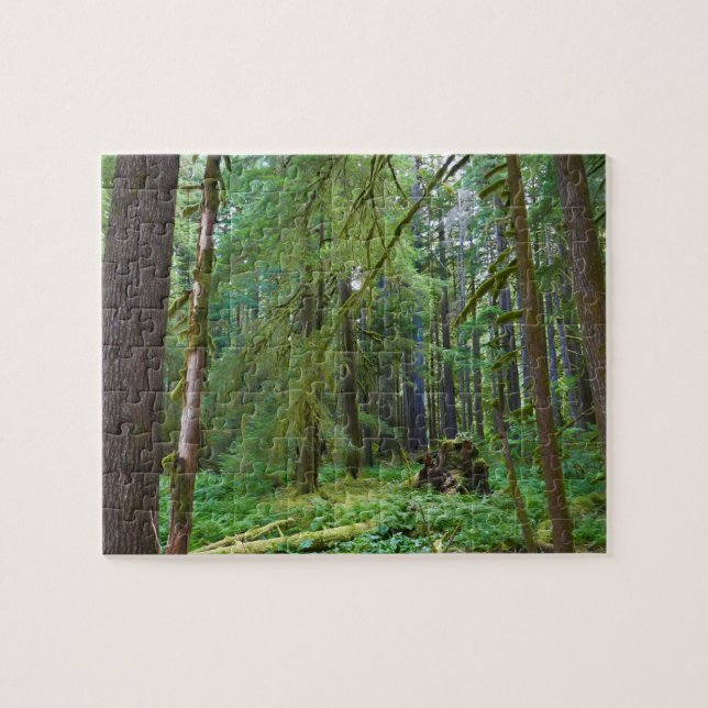 Puzzle Forêt ancienne (Horizontal)