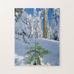 Puzzle Forêt couverte de neige en Oregon
