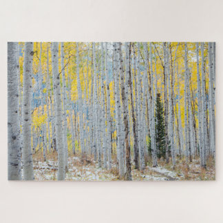 Puzzle Forêt D'Aspen À L'Automne