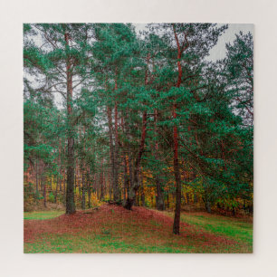 Puzzle Forêt d'automne