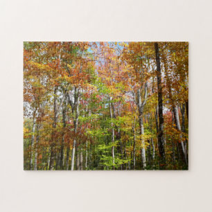 Puzzle Forêt d'automne II Photographie de paysage automna