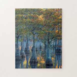 Puzzle Forêt de cyprès de bassin