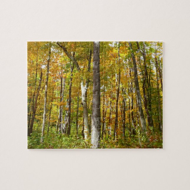 Puzzle Forêt de feuilles jaunes Paysage d'automne (Horizontal)