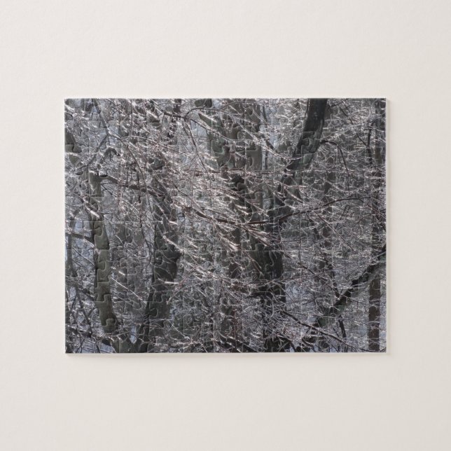 Puzzle Forêt de l'épaisse glacée dans la lumière du matin (Horizontal)