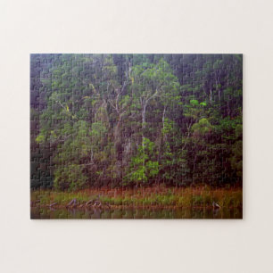 Puzzle FORÊT DE PLUIE LUSTRE 11 x 14 POUCES