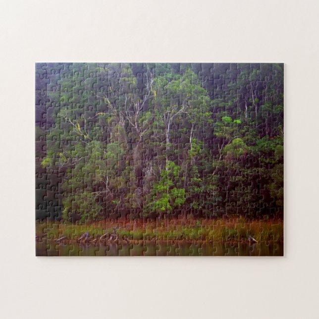 Puzzle FORÊT DE PLUIE LUSTRE 11 x 14 POUCES (Horizontal)