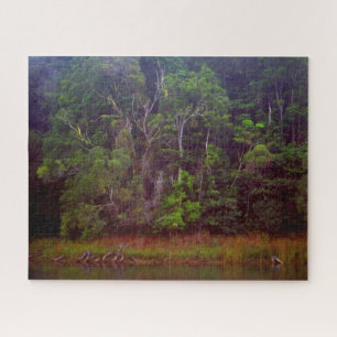Puzzle FORÊT DE PLUIE LUSTRE 16 x 20 POUCES