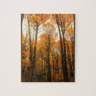 Puzzle Forêt d'Orange