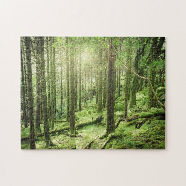 Puzzle Forêt en parc national | Kerry, Irlande de (Horizontal)