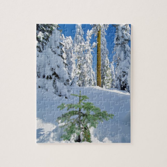 Puzzle Forêt enneigée en Oregon (Vertical)