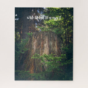 Puzzle Forêt estivale paisible