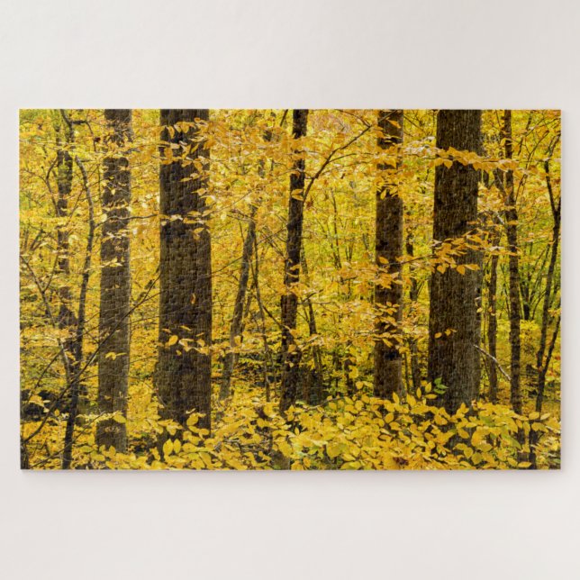 Puzzle Forêt nationale de Fall Pisgah (Horizontal)