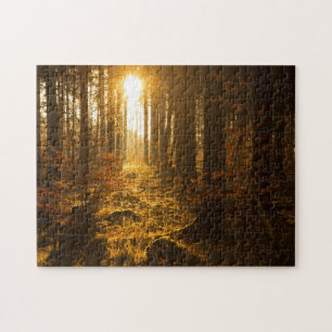 Puzzle Forêt pendant l'automne Baden Württemberg,