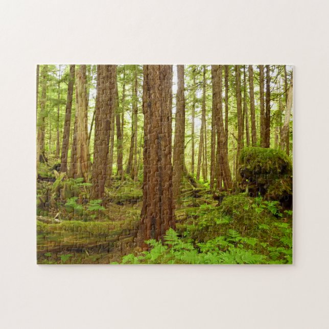 Puzzle Forêt pluviale tempérée d'Alaska (Horizontal)