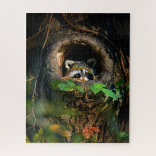 Puzzle Forêt   Raccoon Peeking