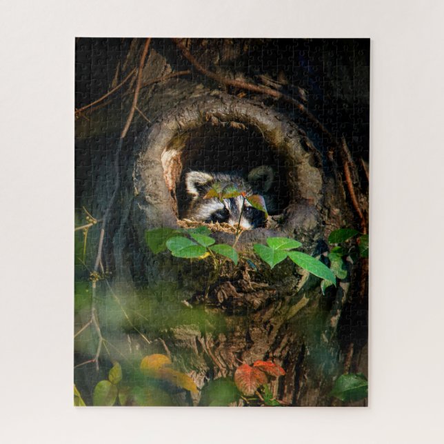 Puzzle Forêt | Raccoon Peeking (Vertical)