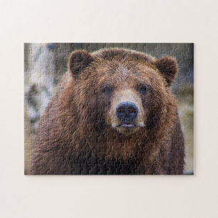 Puzzle Forêt sauvage de Grizzly Forêt de l'Ours Brown P