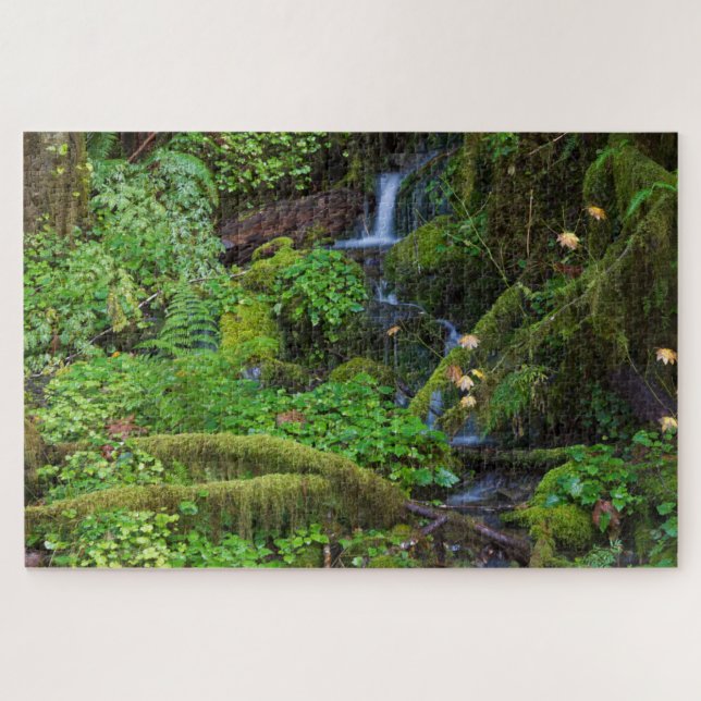 Puzzle Forêt tropicale humide d'automne | Parc national O (Horizontal)