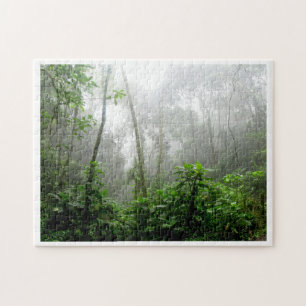 Puzzle Forêt tropicale tranquille