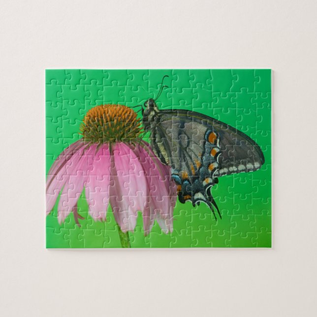 Puzzle Forme noire de l'Eastern Tiger Swallowtail (Horizontal)