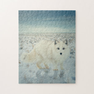 Puzzle Fox arctique